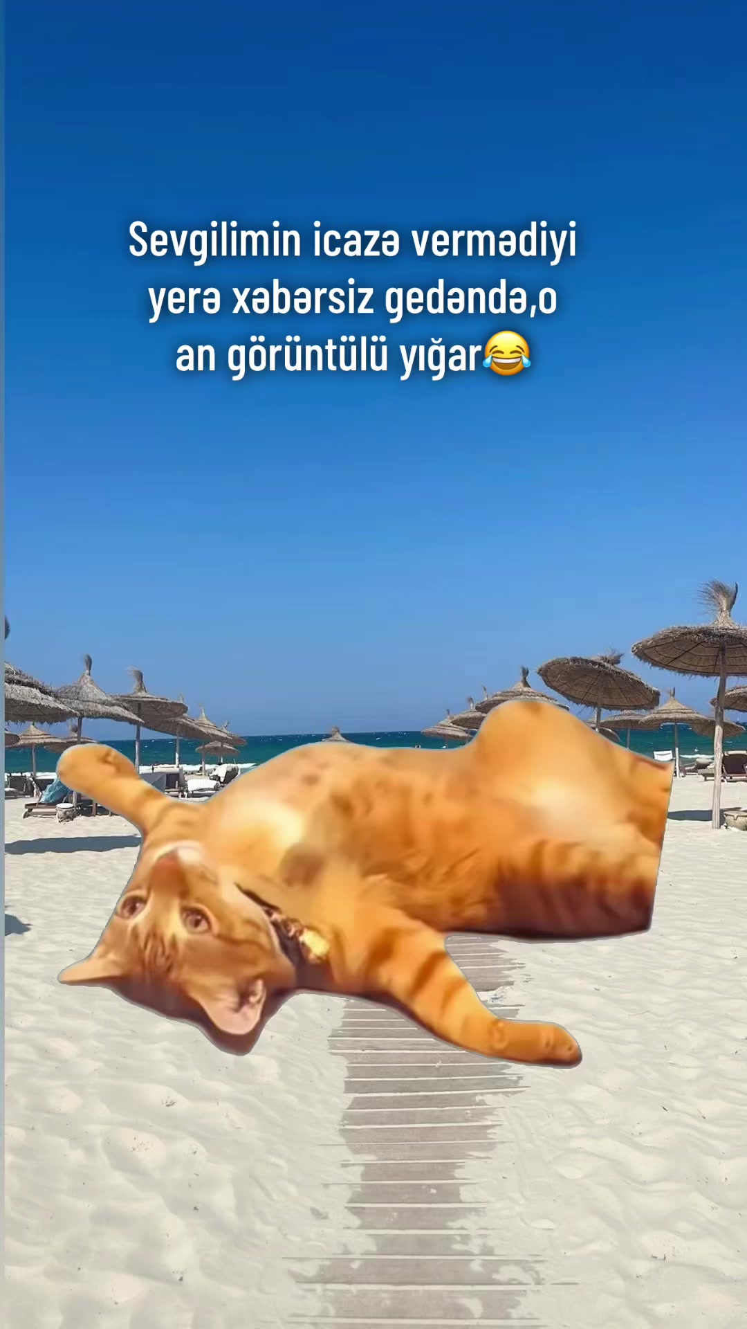 @♈️