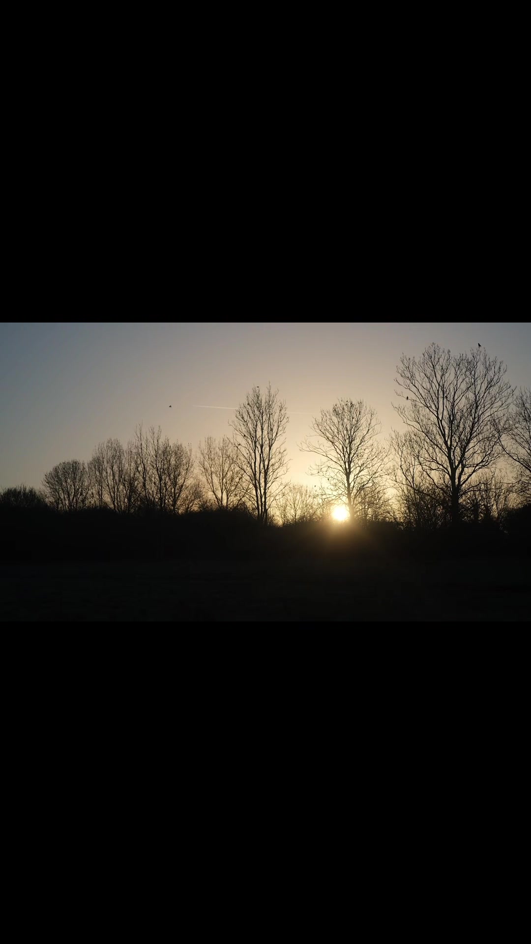 @SheWolf_Deva