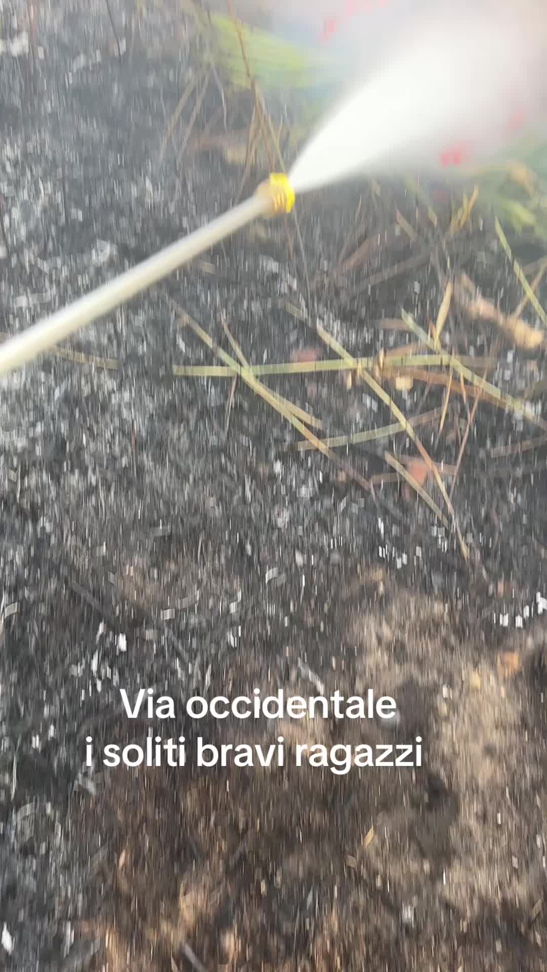 @protezionecivile2cv