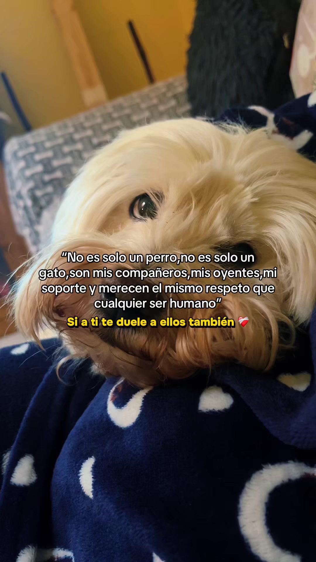 @Ale Castillo