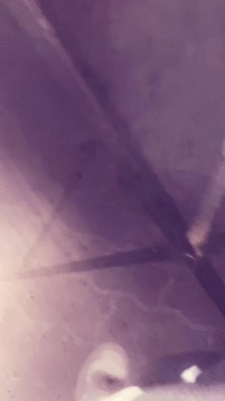 @Gschwind_Sidney