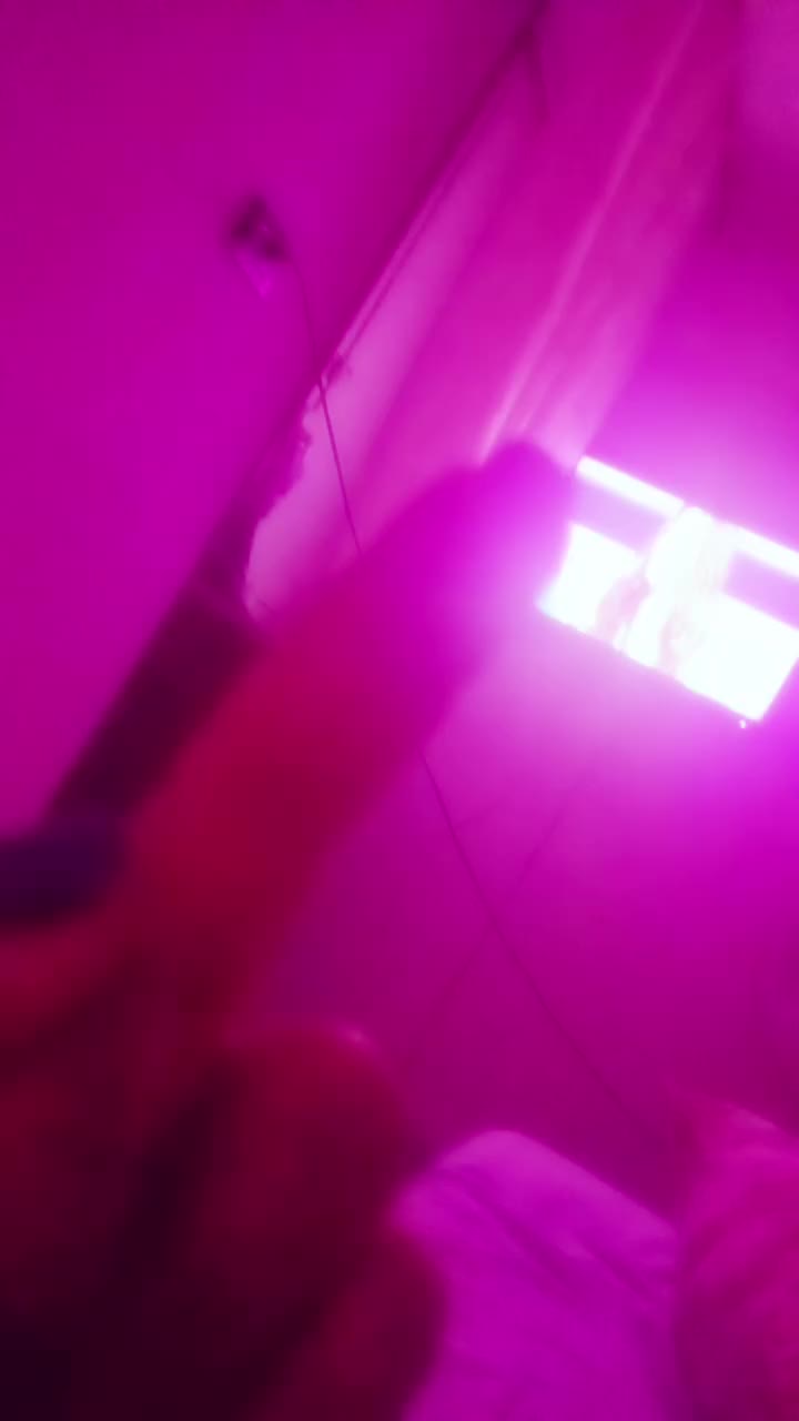 @Rosa Maraniello