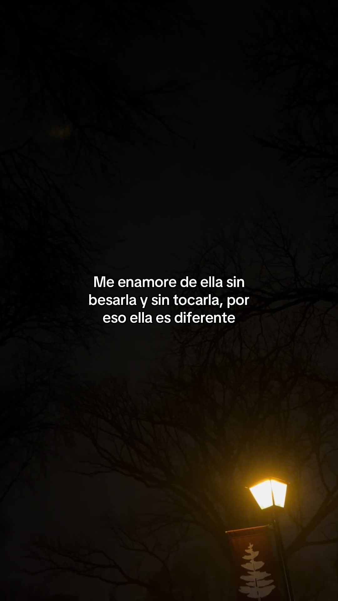 @locoperoportii