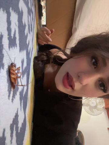 @handanbzby