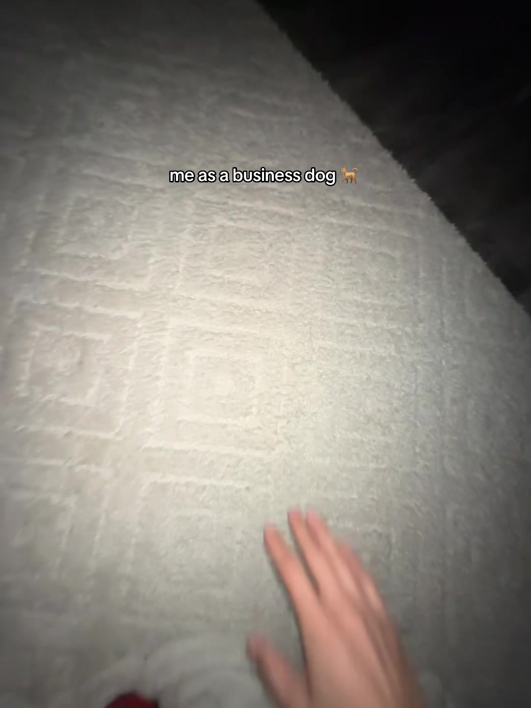 @christianbobbyspam