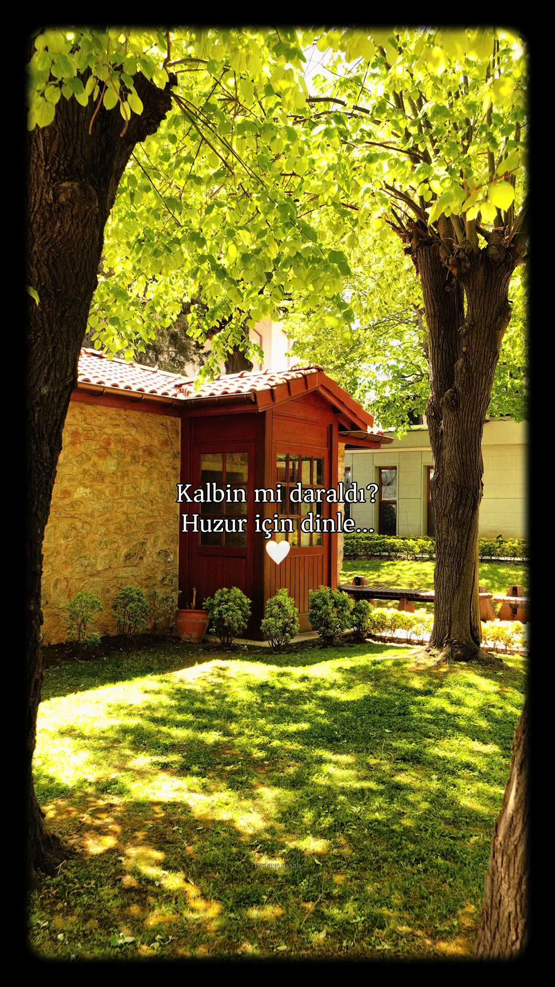 @Şabir