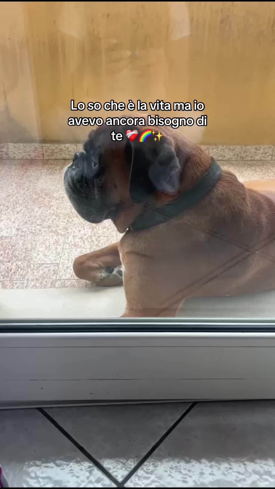 @Cristina Tarquini