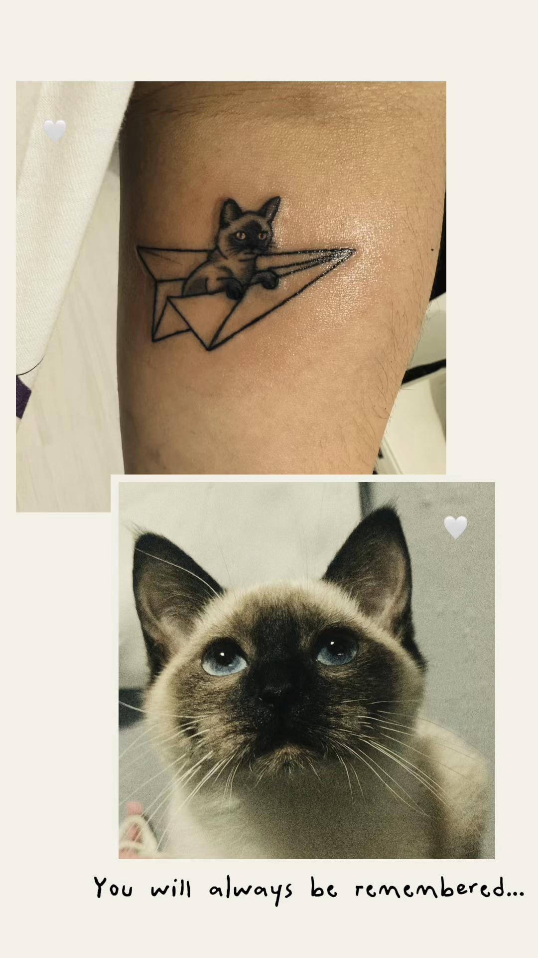 @TheCatFather