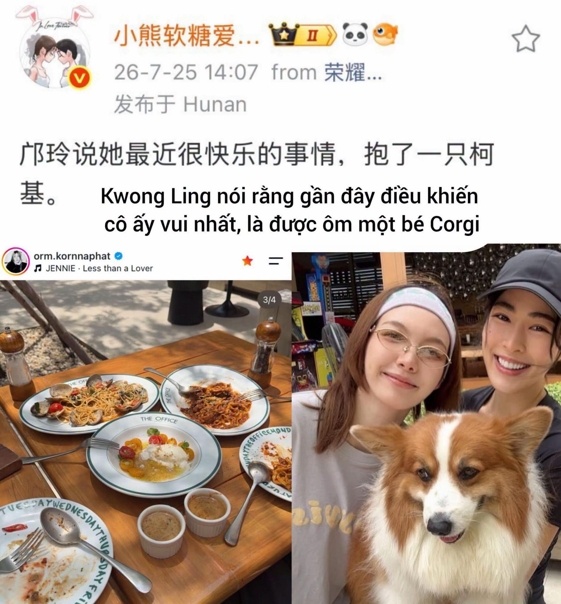 @LINGORMHOLIC
