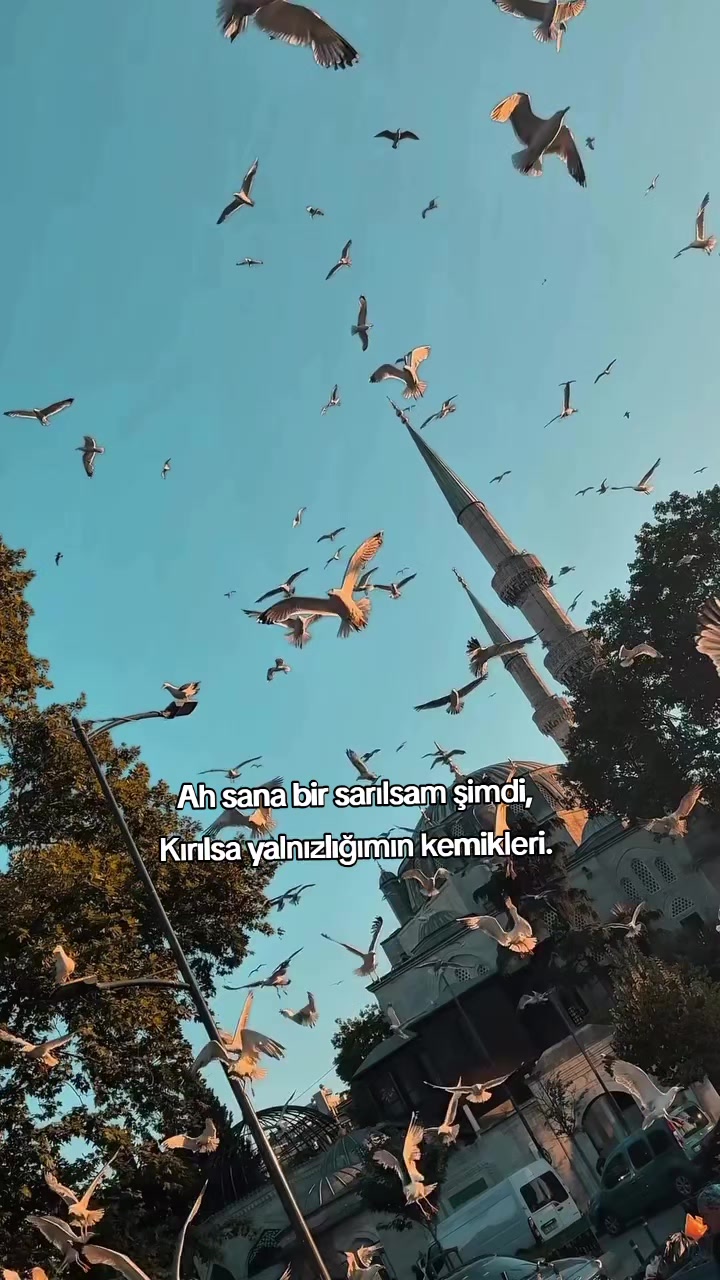 @kyplrdym