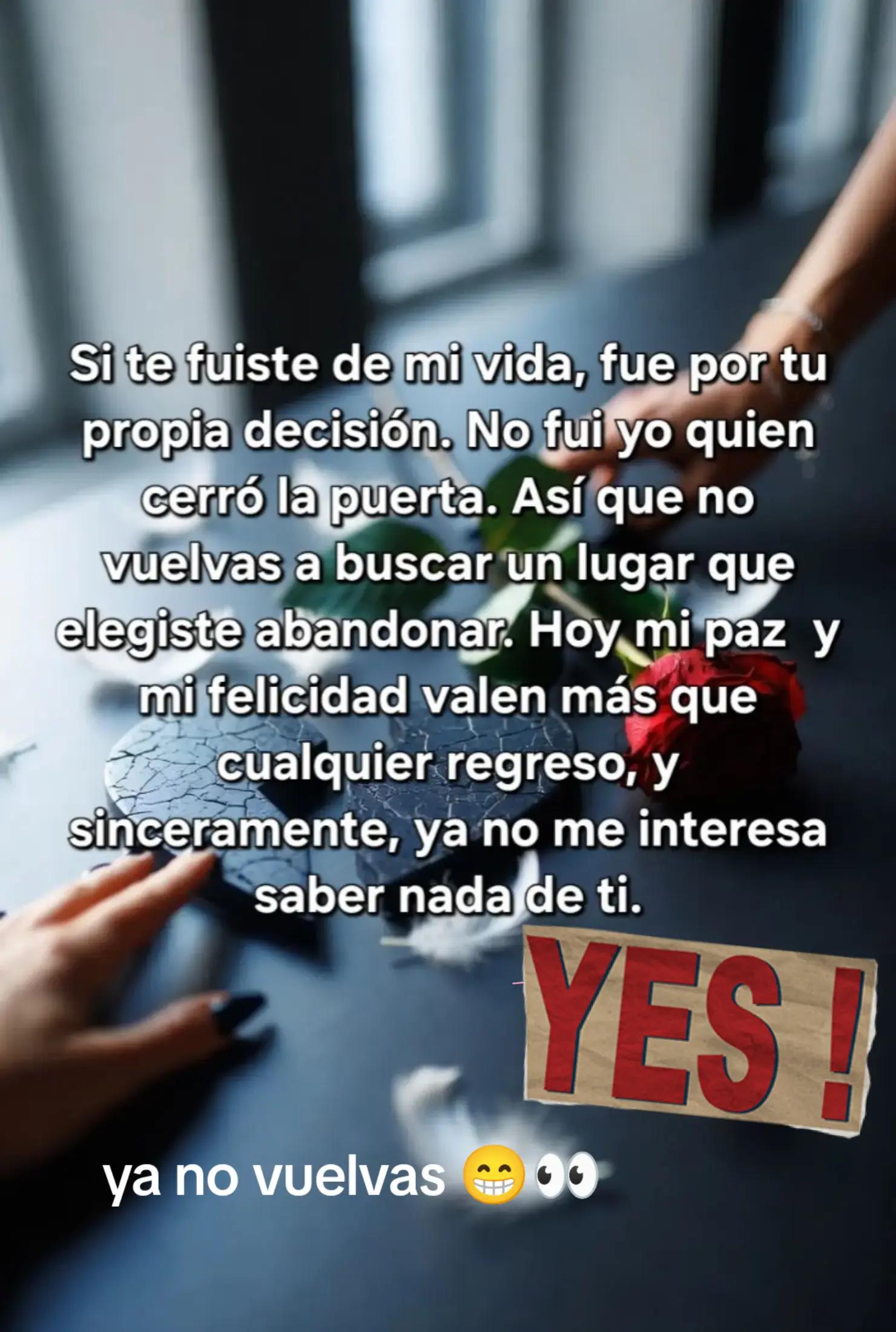 @cynthia navarro