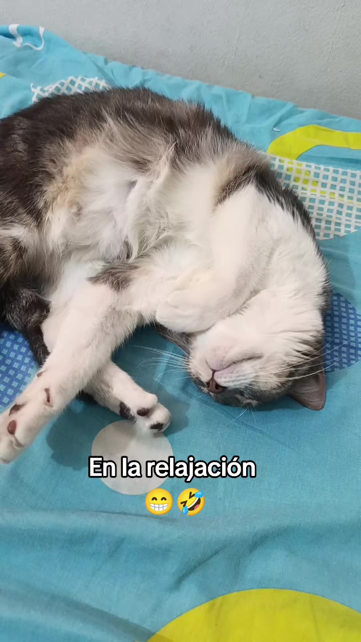 @Martha Lucia Dussan Triana