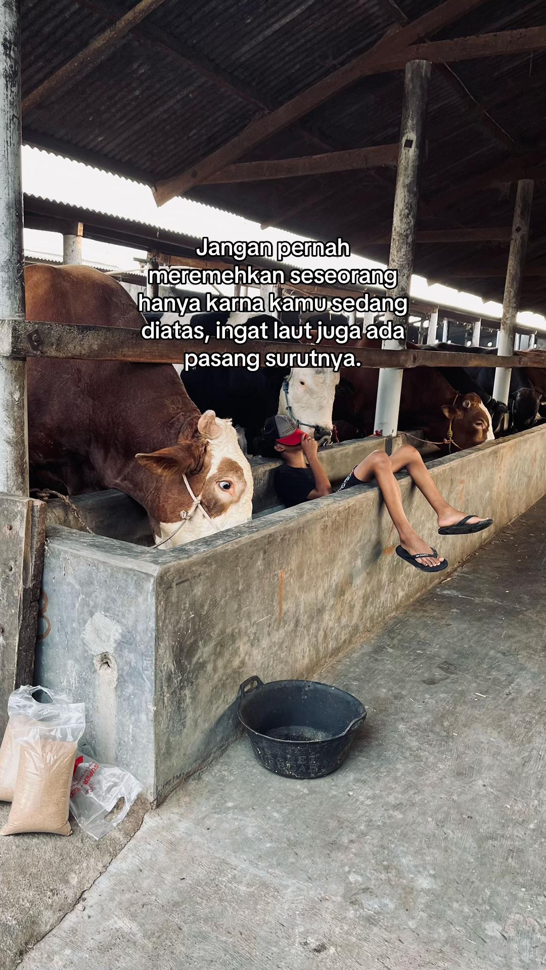 @Wisnu Farm Lampung