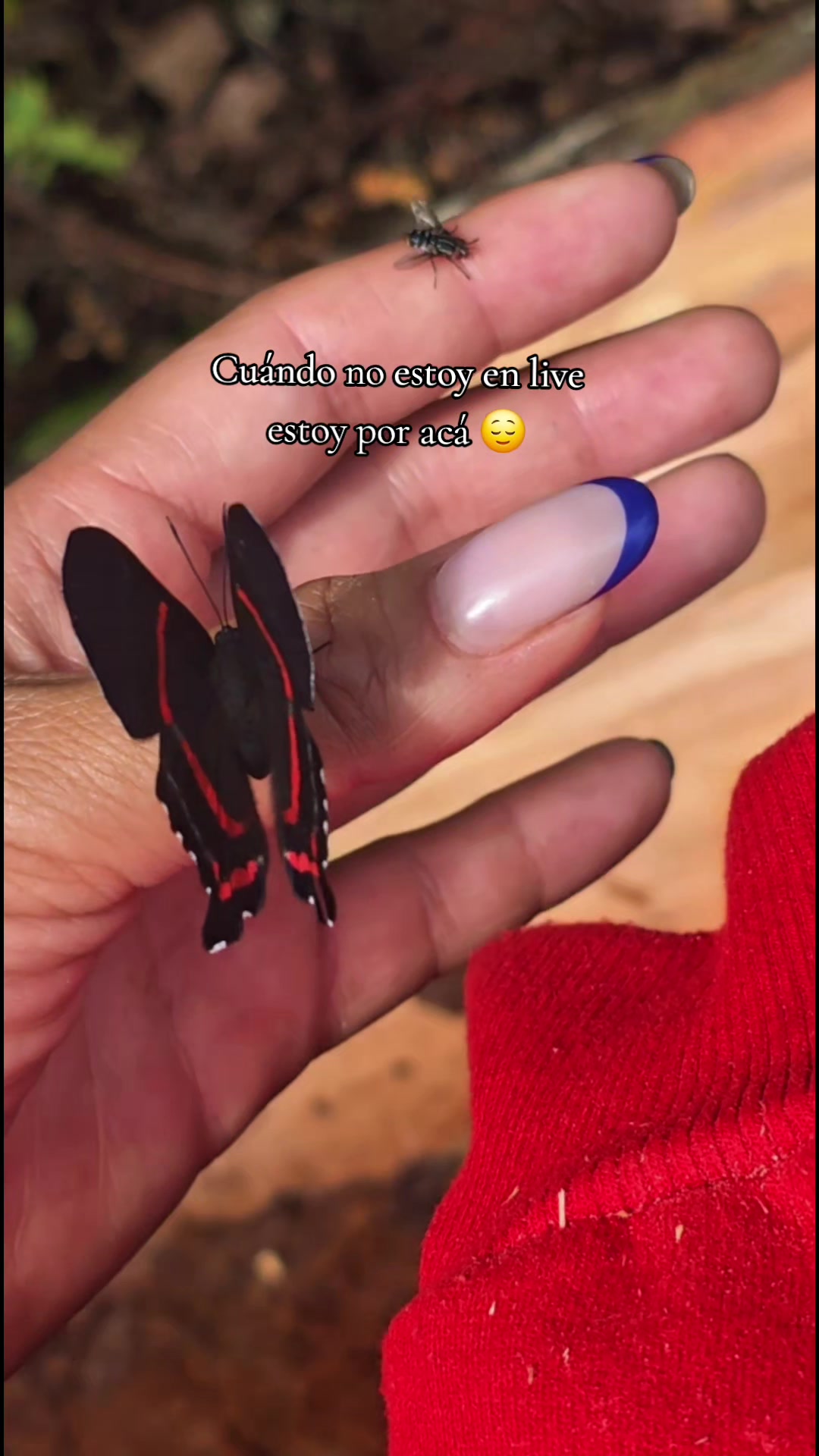 @𔒝ReinaColibri౨౨🌀