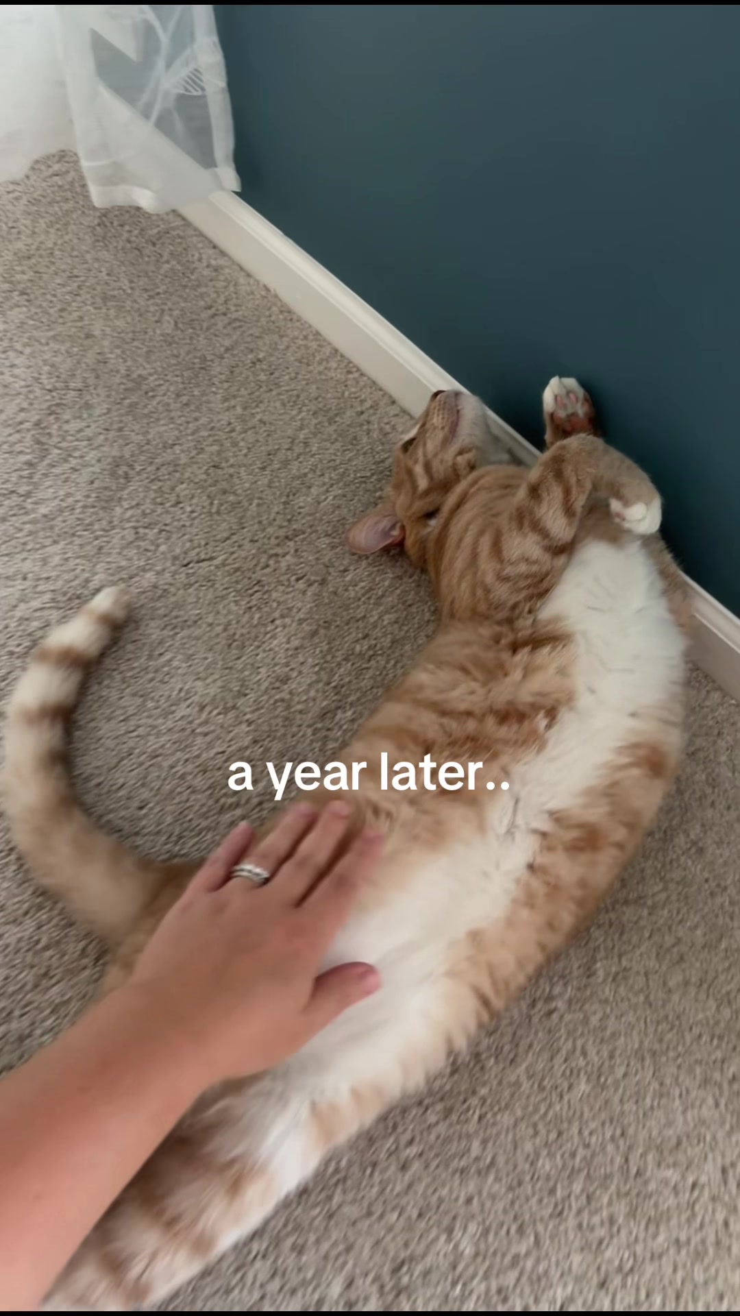 @Olivia