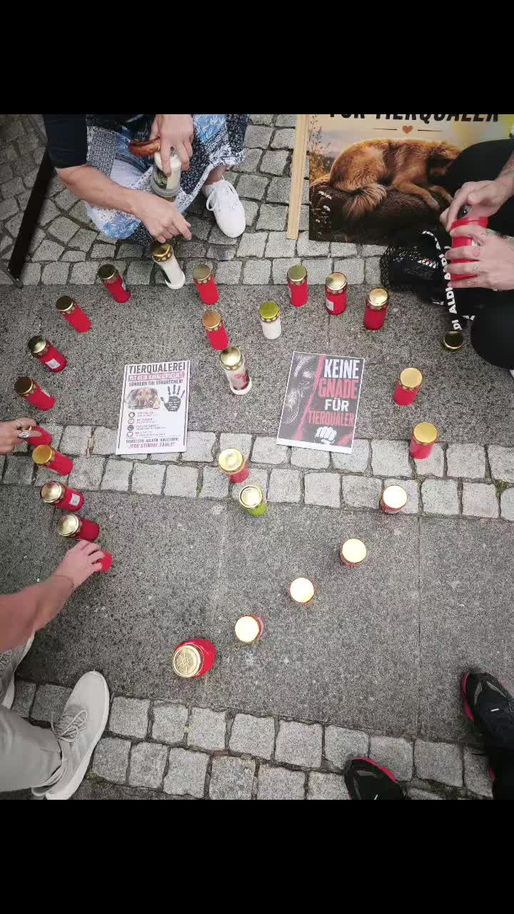 @MoinMoinausdemnorden2023