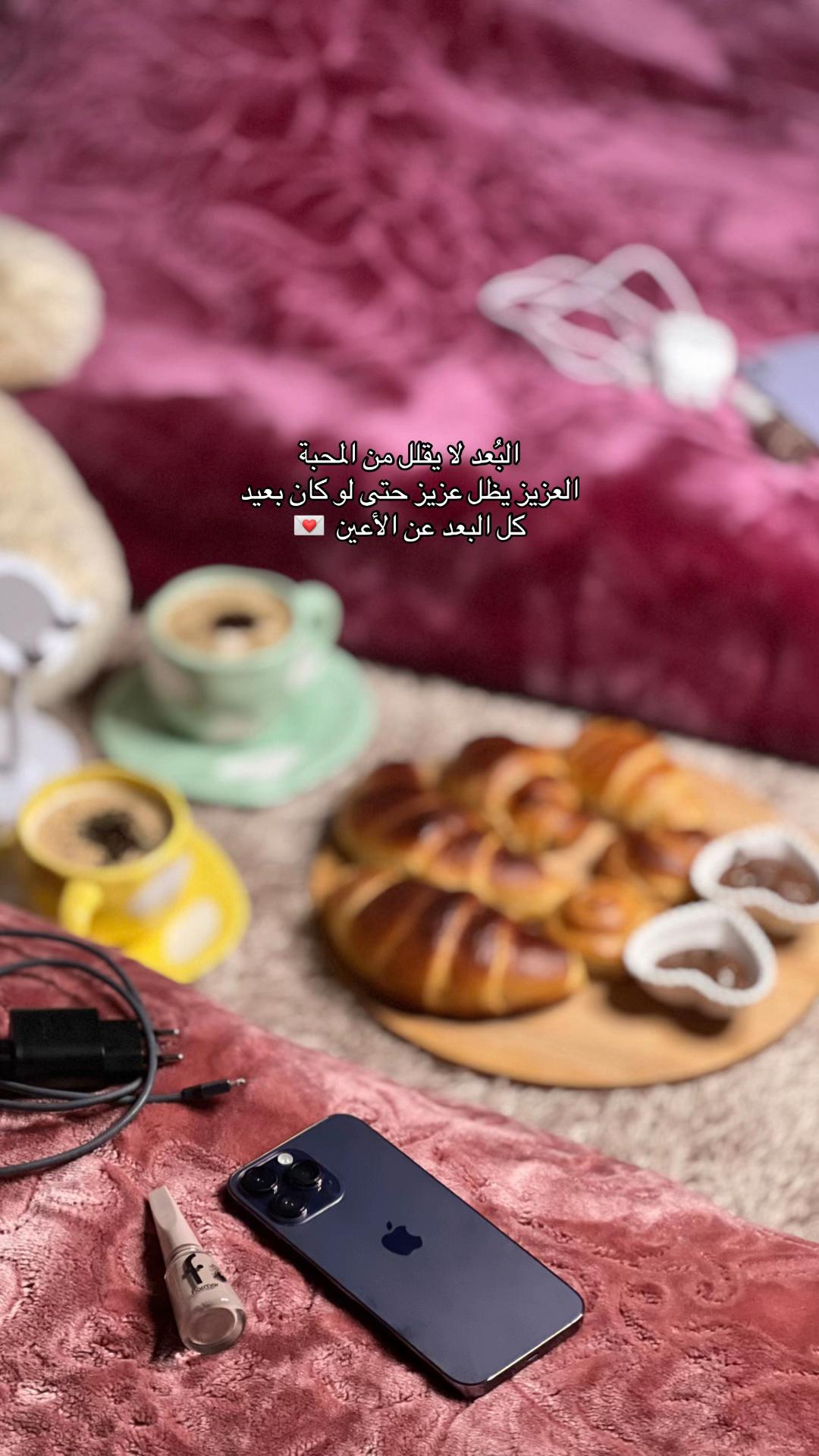 @﮼بيلا،الكريمي 🩶.