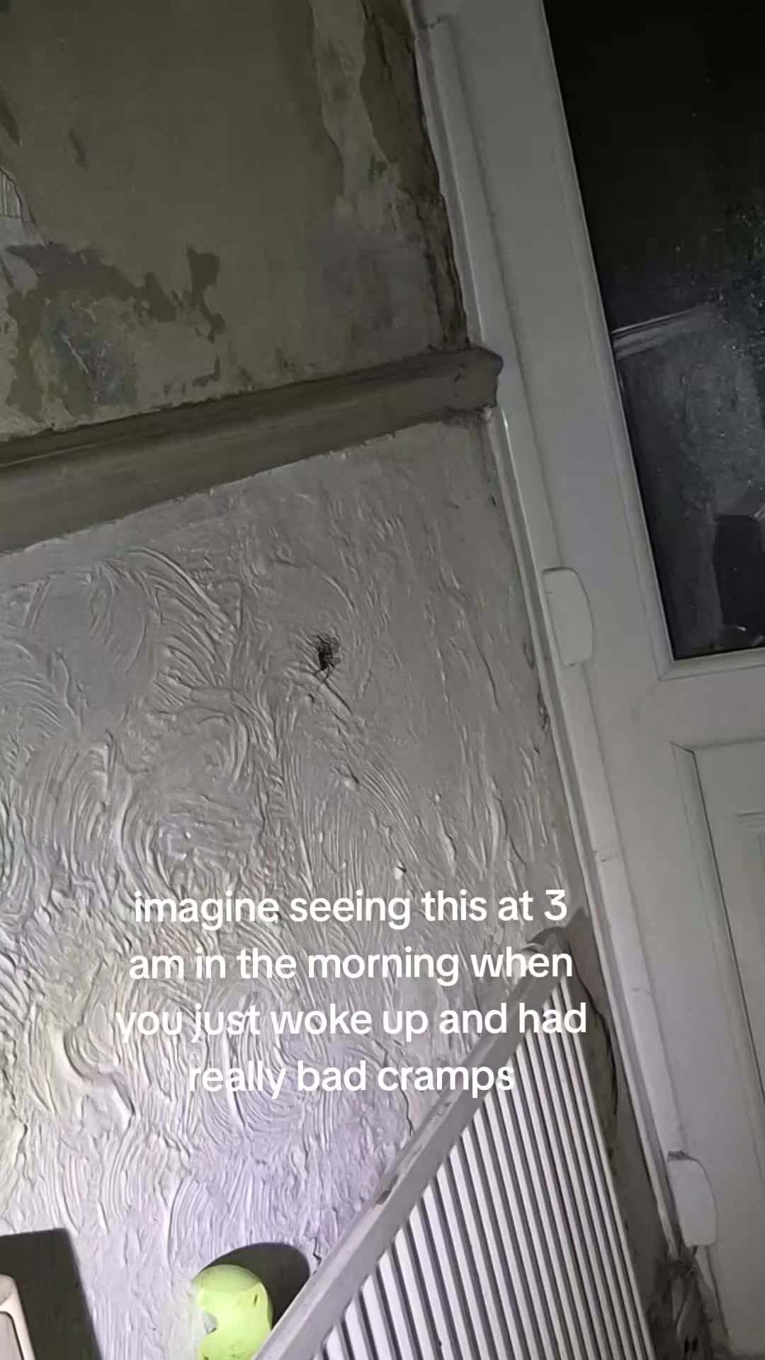 @mar🤍