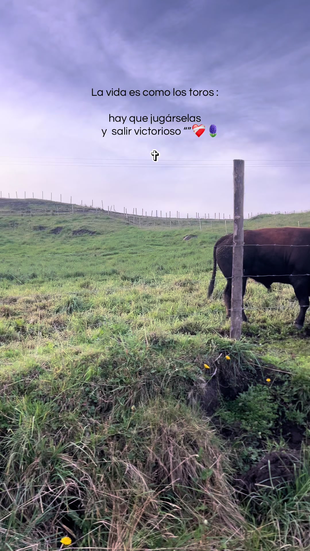 @ncolas97:🍎