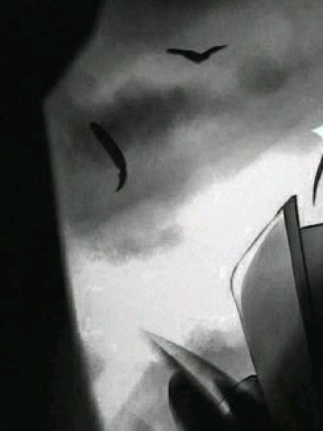 @𝐘 𝐚 𝐳 𝐳 𝐲 🕸
