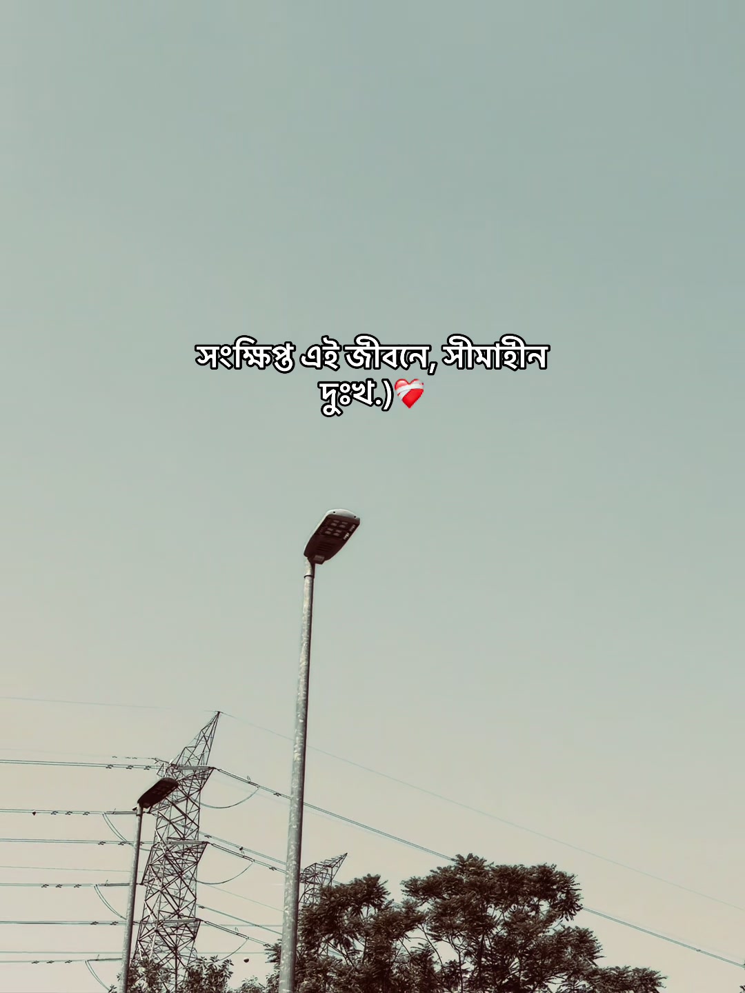 @आईएएन ┊🐥