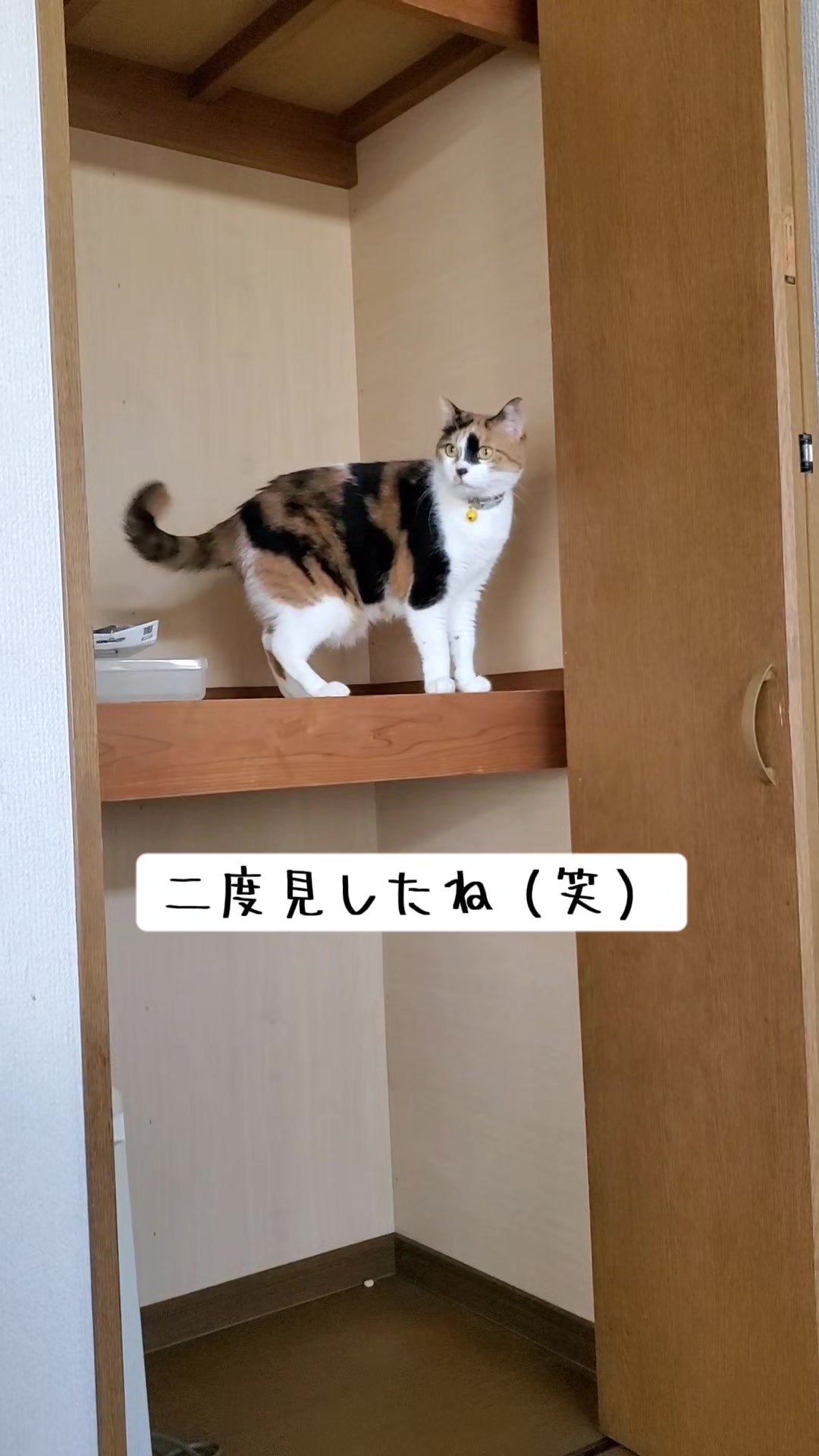 @😻kazuki😻