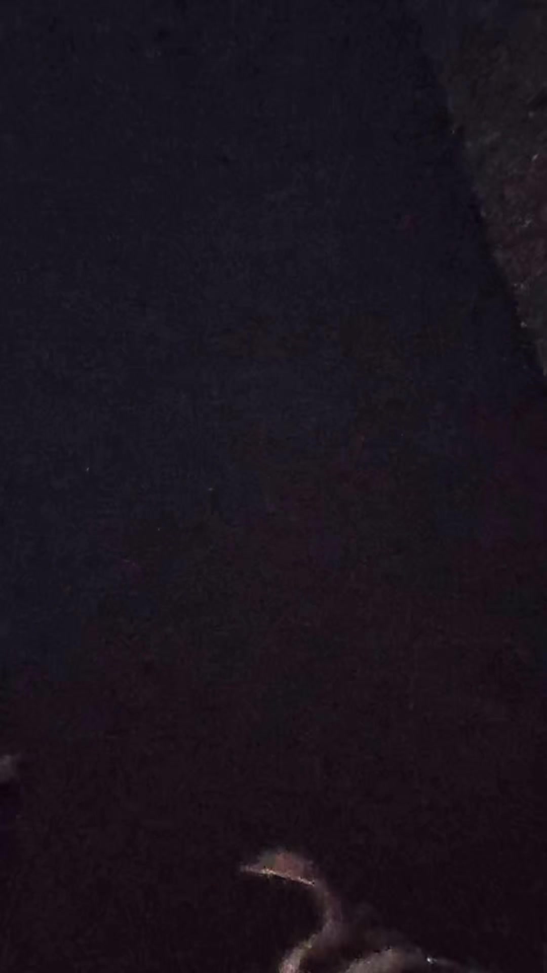@__aint.shit