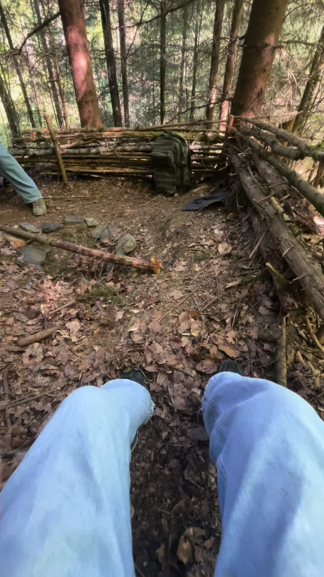 @ᛏᛁᛏᚢᛋ 🌞🌲🏔️ᛉ