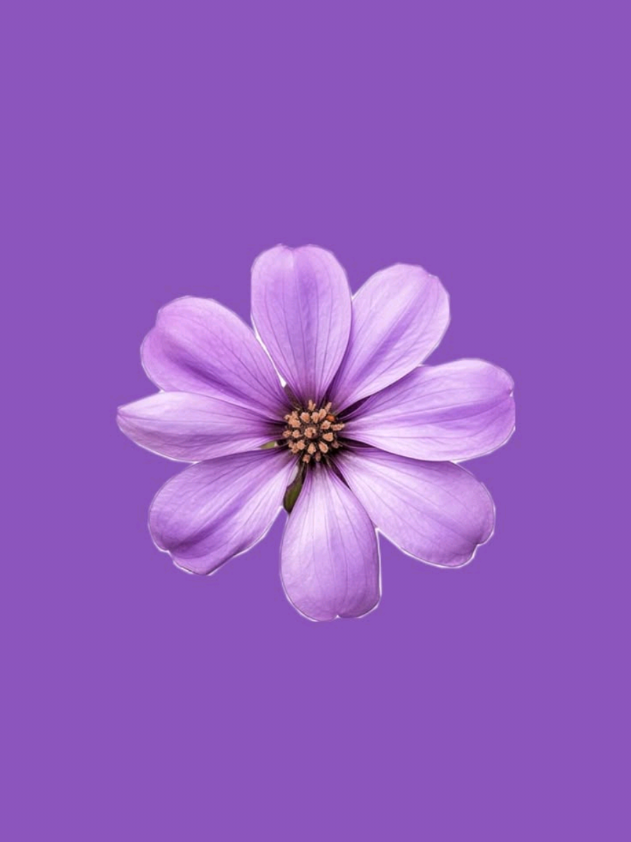 @𝗹𝗶𝗳𝗲𝘁𝗶𝗺𝗲 𝗺𝘂𝘀𝗶𝗰🎶