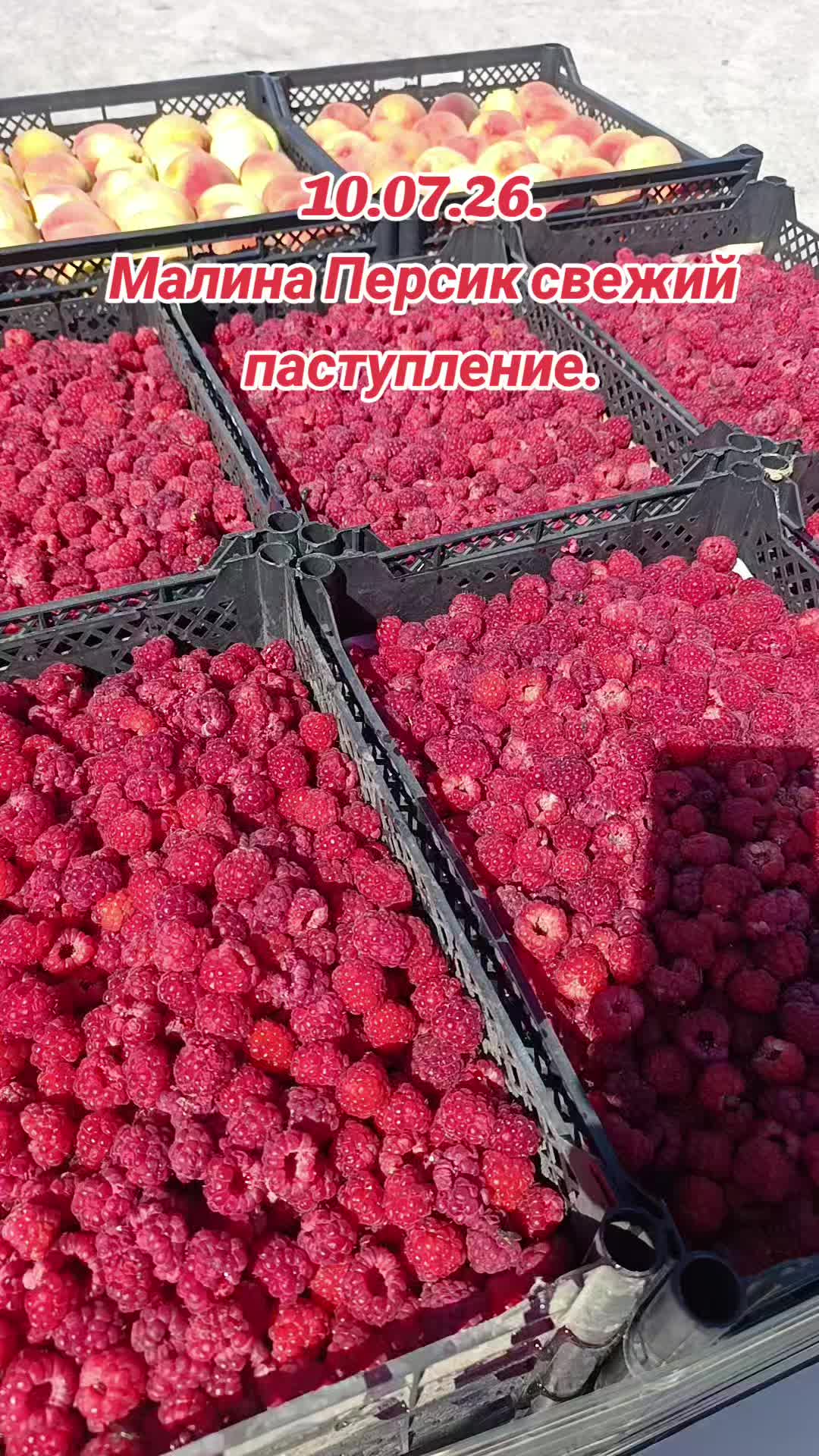 @ЭКЗОТИК  ҚАРАБУЛАҚ