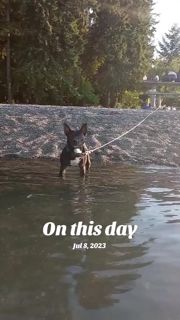 @CryptoOffgrid