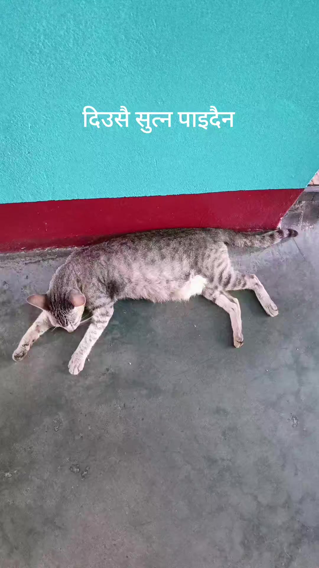 @समीर ब्रो🇳🇵🇦🇪