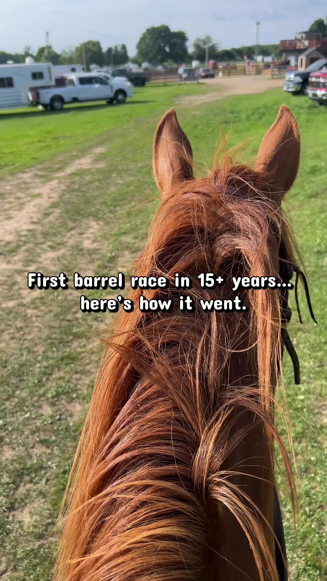 @Aubray | Equine Photographer