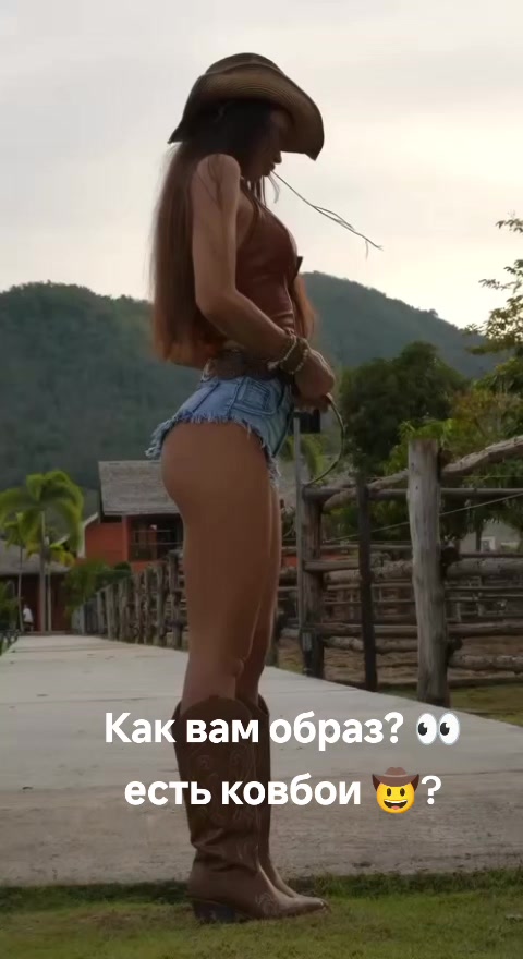 @vlady