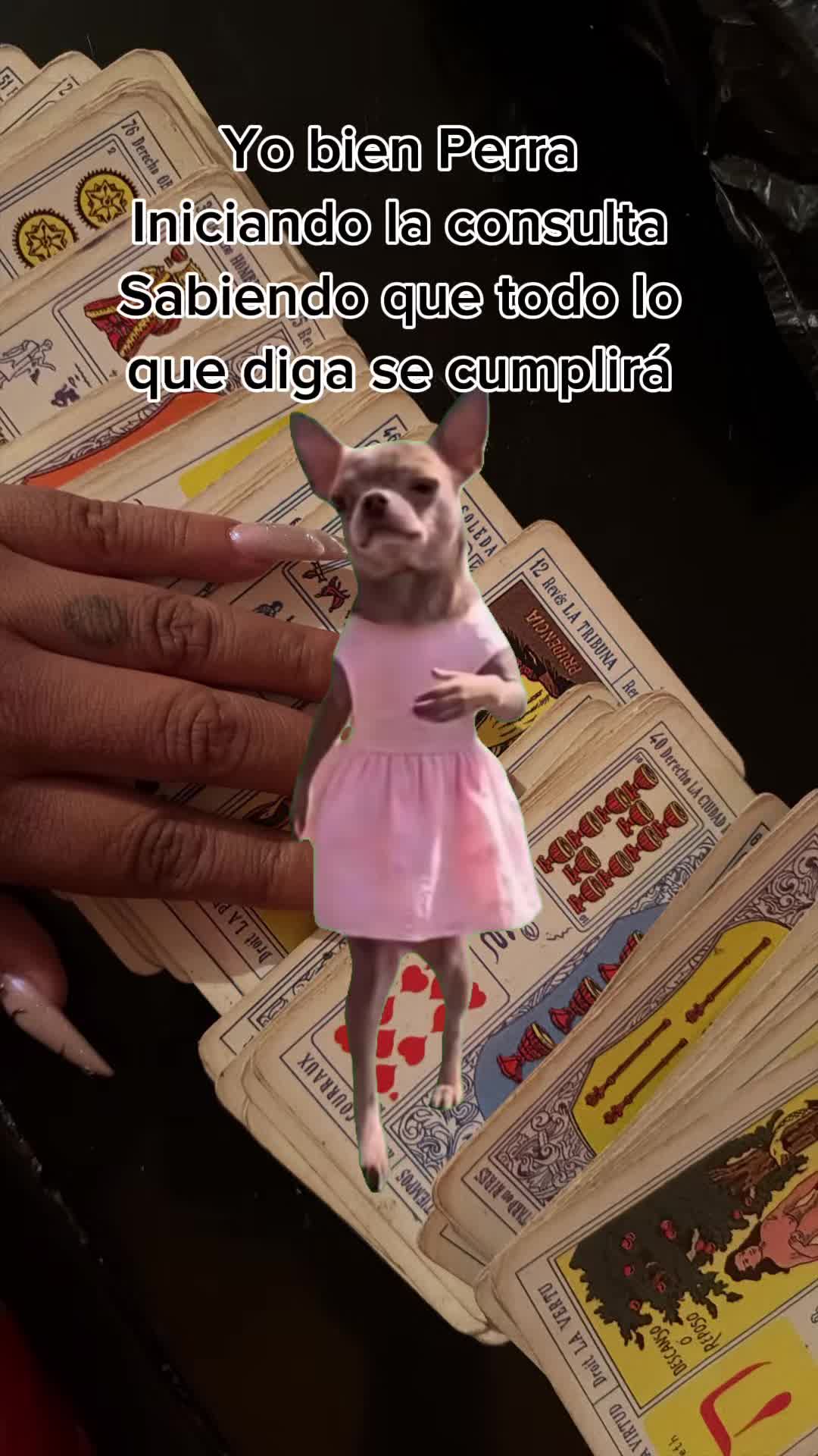 @sandyeleguacita