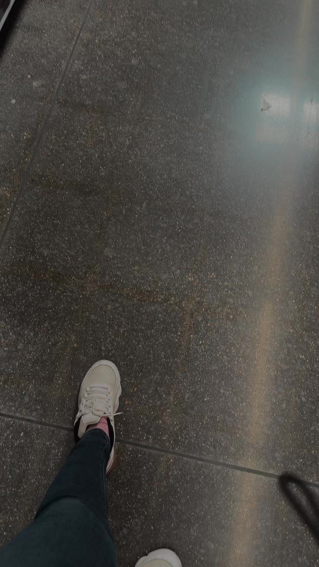 @genesisflor65