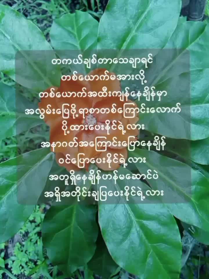 @🎸Ț&atilde;&ccedil;~ł🌿🌈🎶