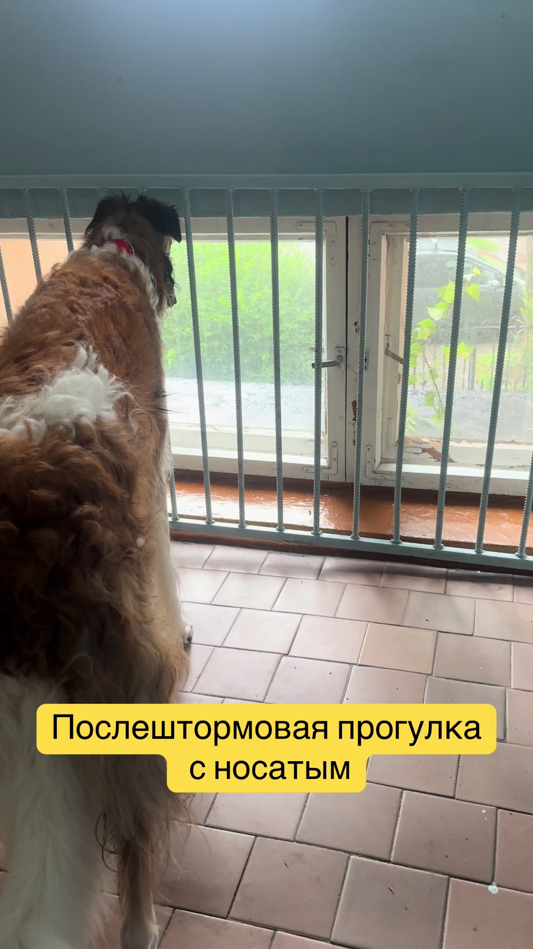 @Вероника и Удыч