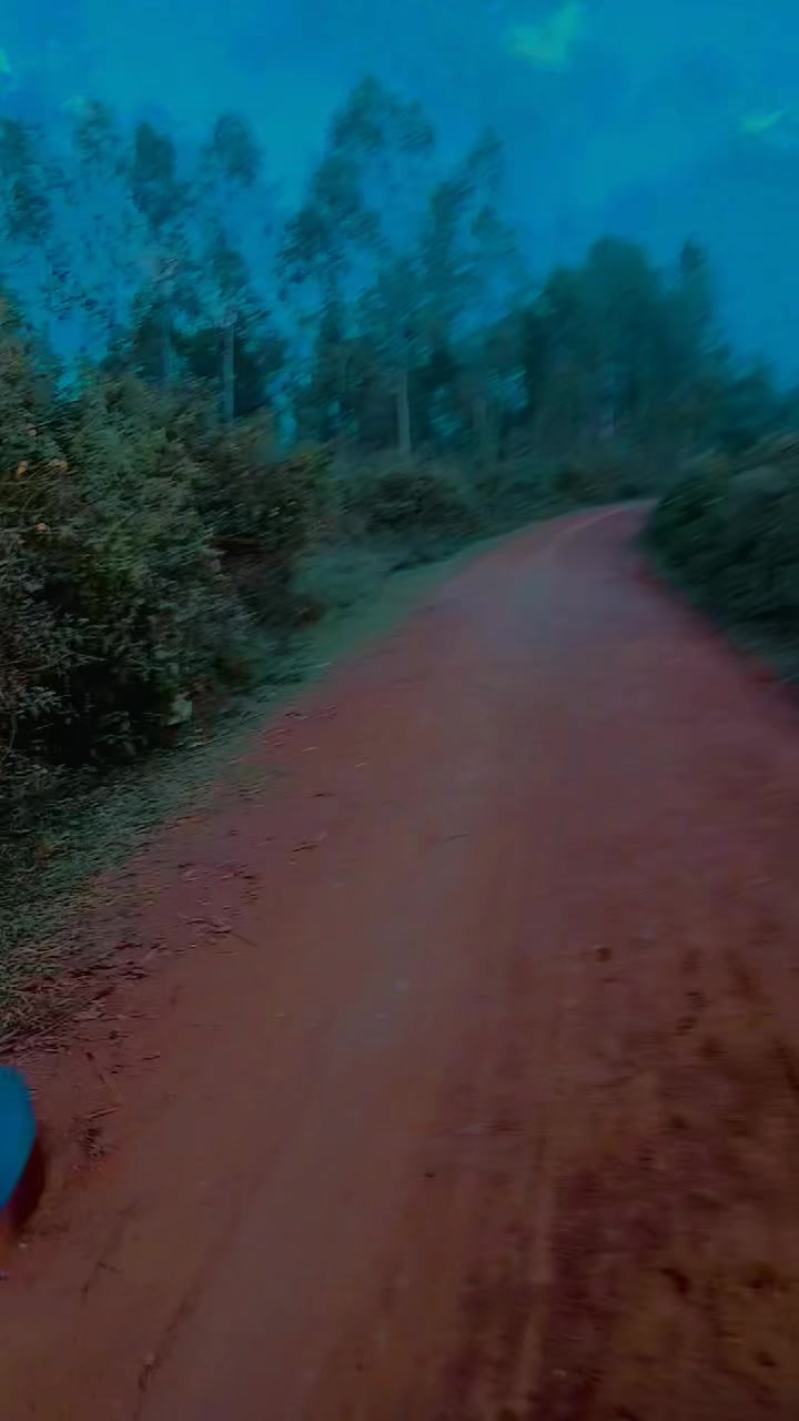 @Chento28