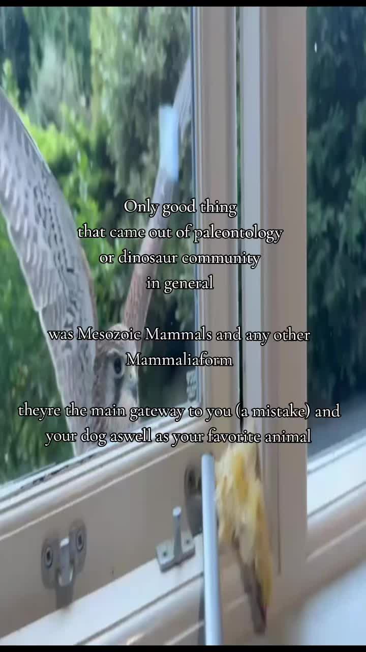 @purrito