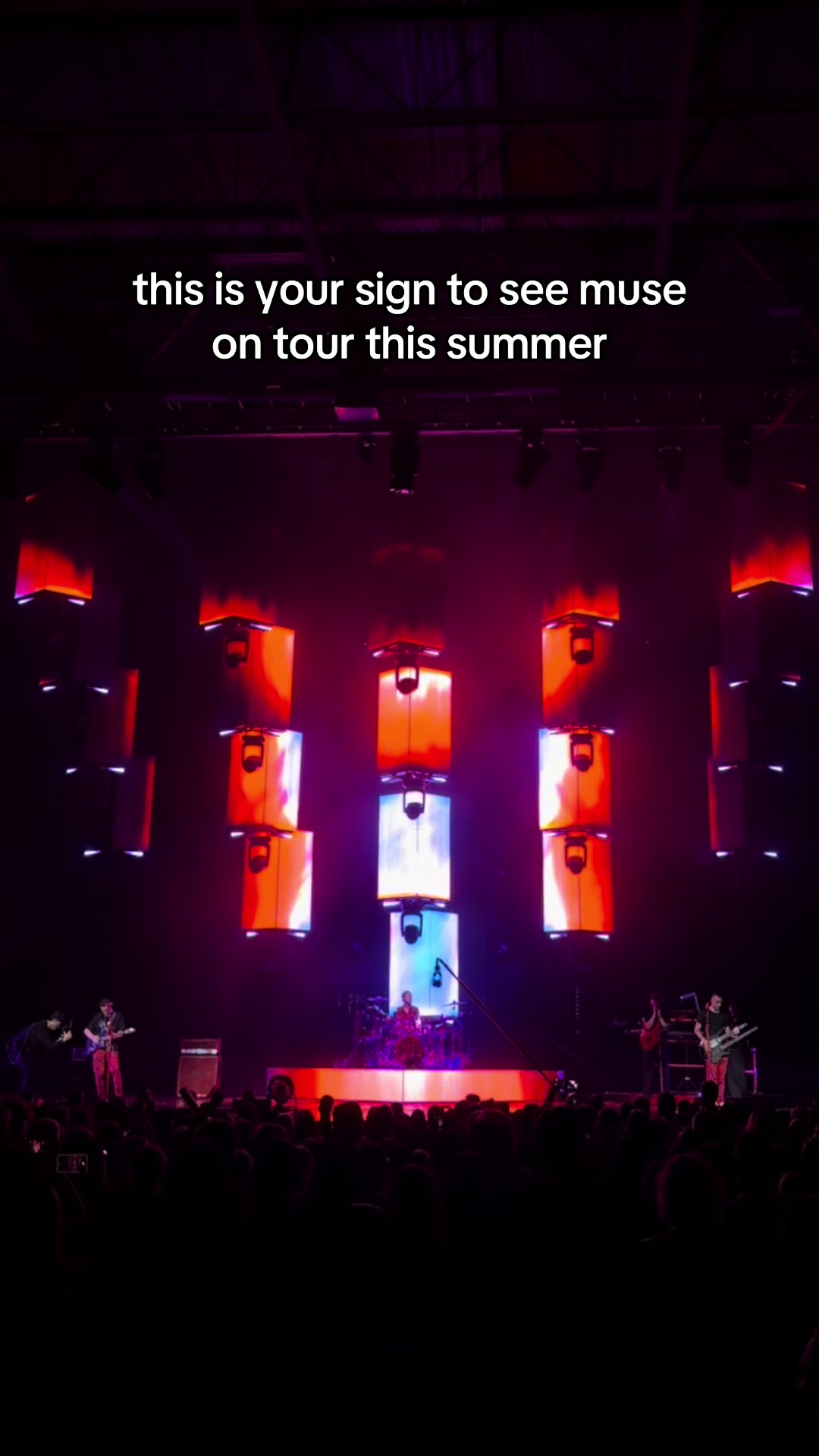 @P 🦋