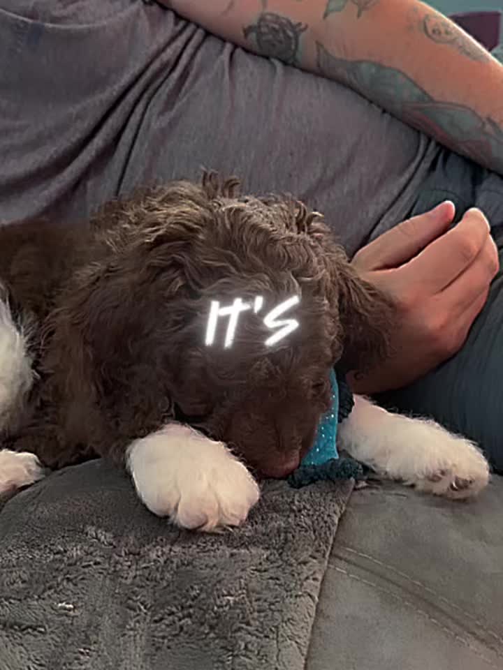 @Jensen24