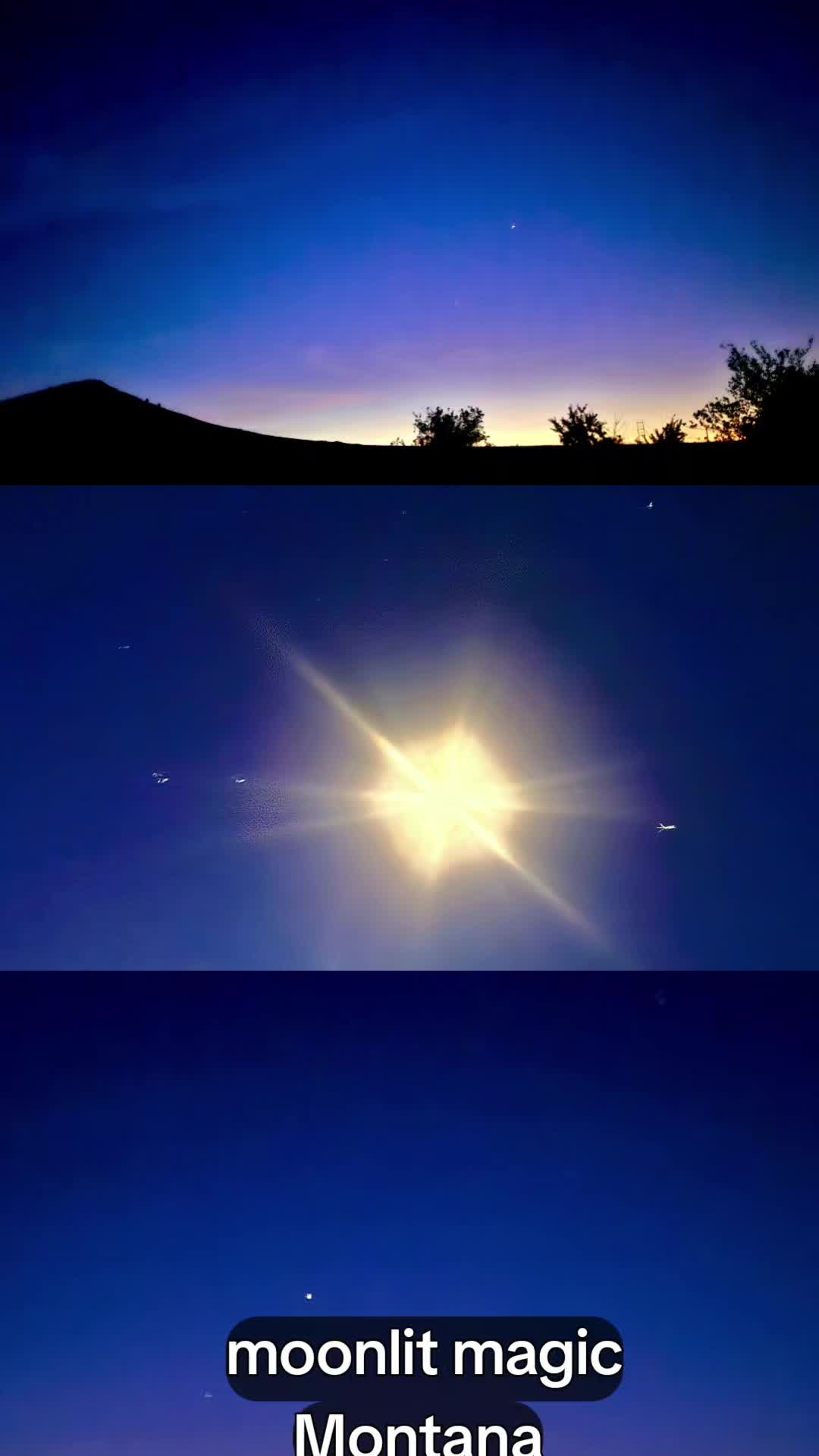 @IndiArts13🦮🌌