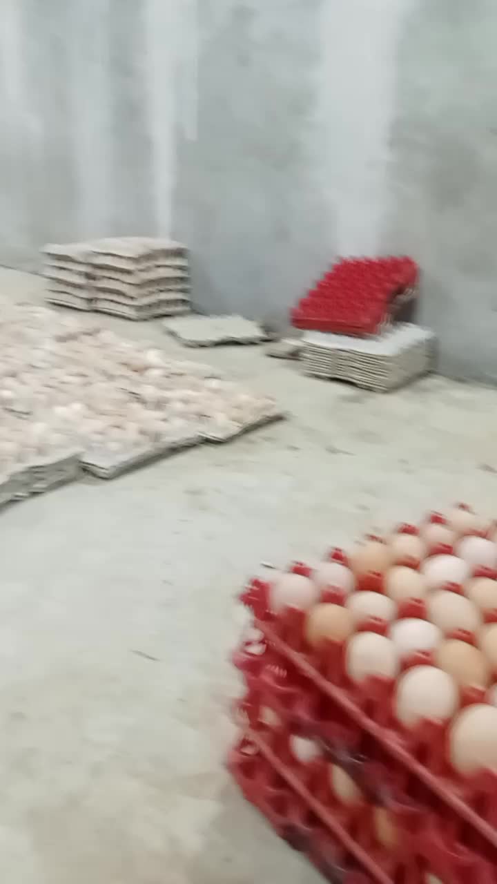 @siva