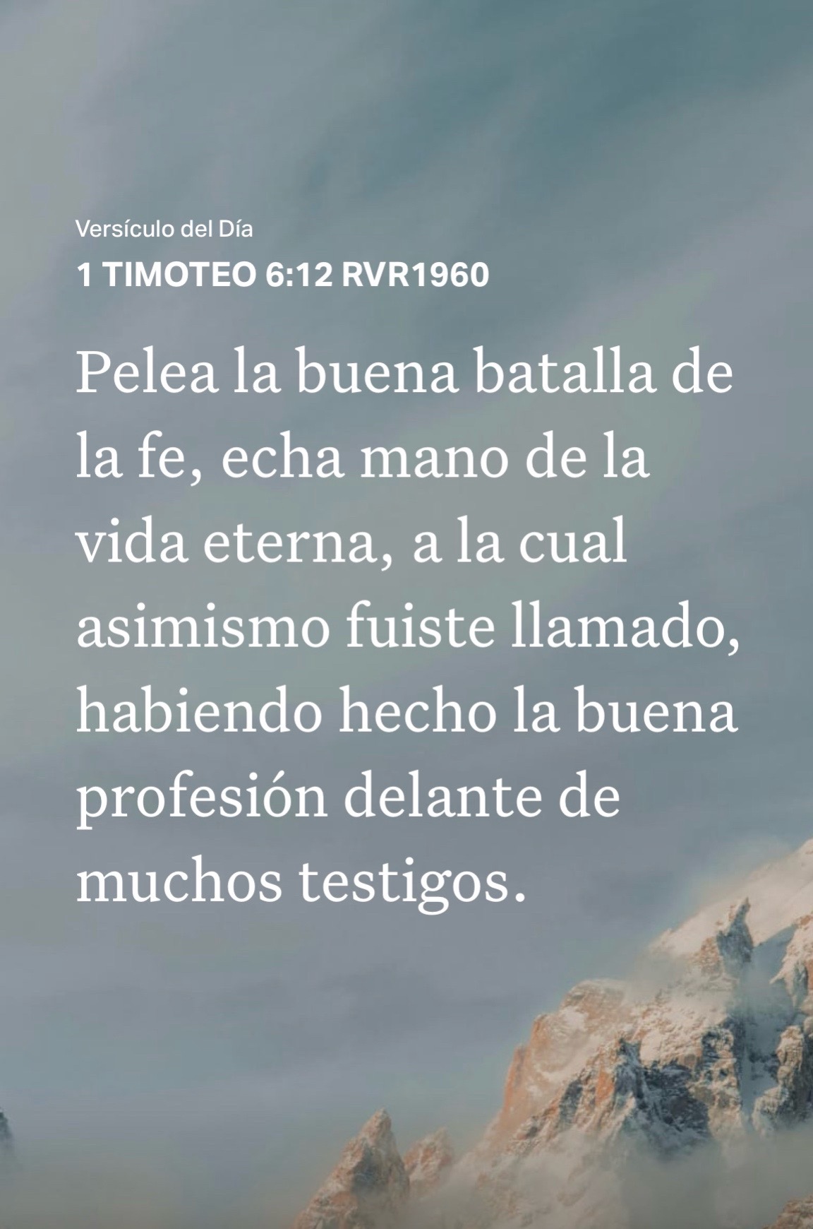 @Irma Hern&aacute;ndez