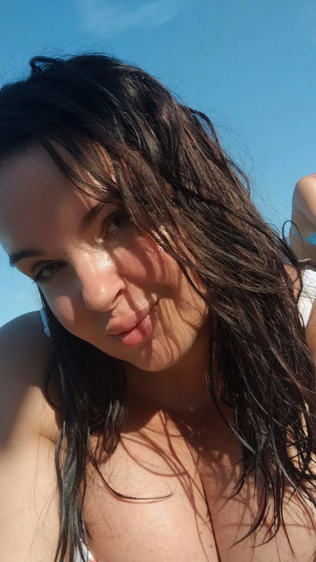 @156 Mvf