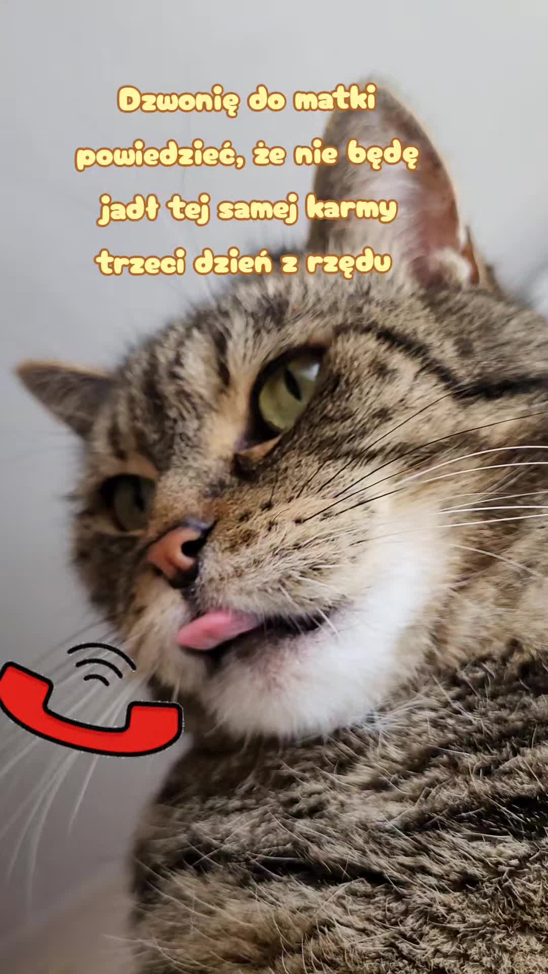 @😻Ekipa Świrka 😻