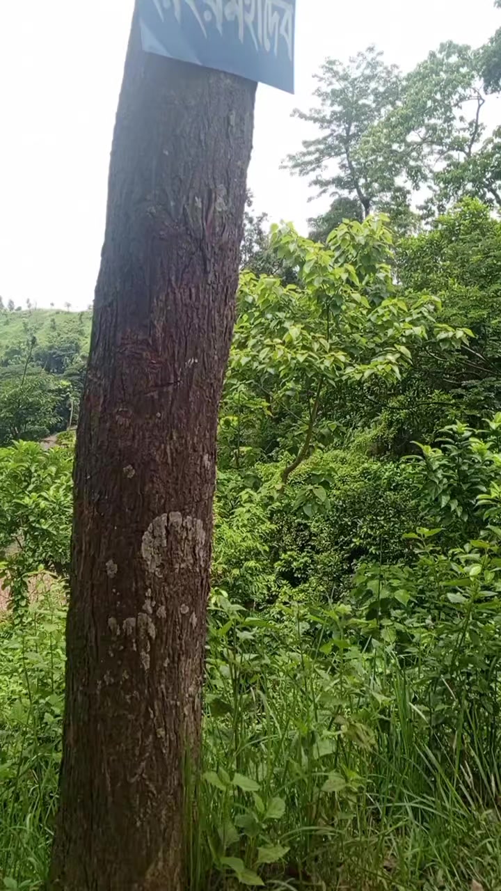 @🇧🇩প্রিয় বিক্রমপুর, 🇧🇩