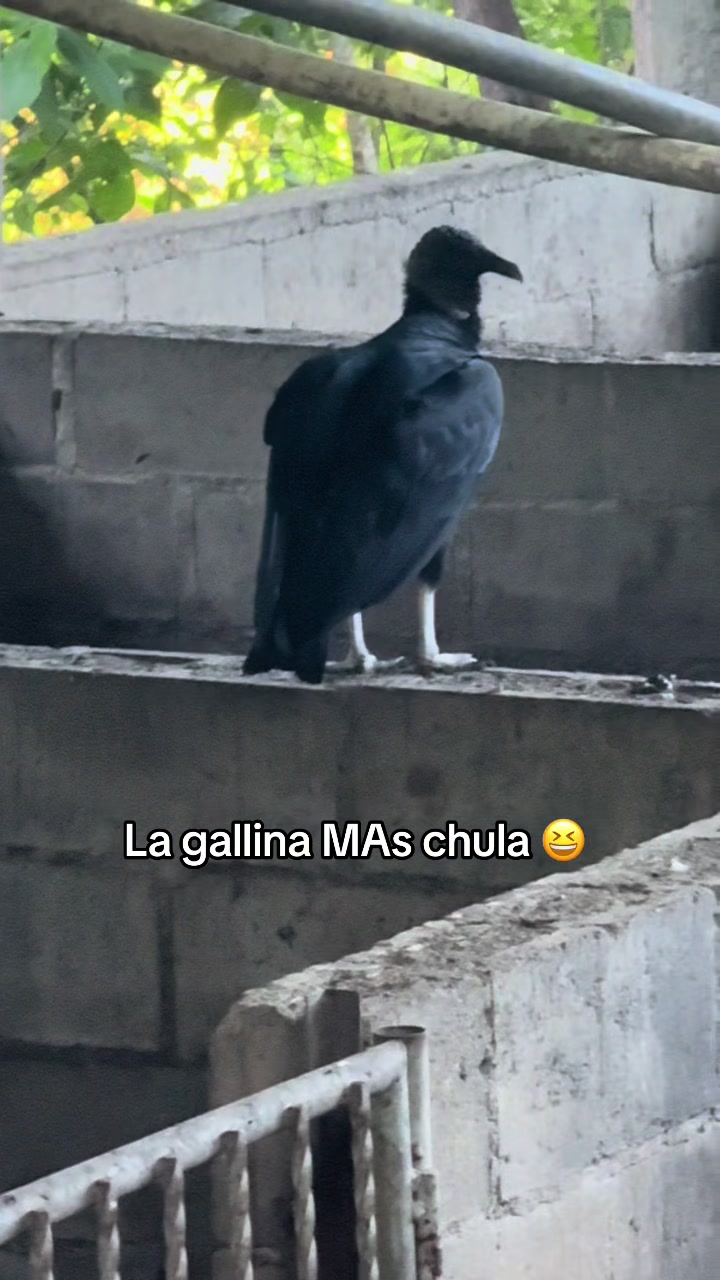 @Ezequiel ❤️‍🔥