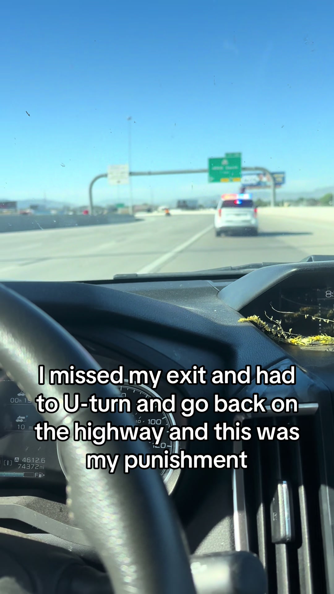 @lynngardium